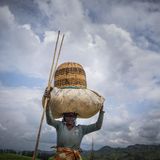 Ruanda  Ruanda galt lange Zeit als Lieferant von eher durchschnittlichen Qualitäten. In Zusammenarbeit mit einer Entwicklungshilfe-Organisation der USA hat die Regierung 2001 eine "Coffee Task Force" ins Leben gerufen. Der ruandische Hochland-Kaffee sollte nicht nur hochwertiger, sondern auch in größeren Mengen angebaut werden. Die Anstrengungen haben sich gelohnt. Der kleine Staat zwischen Kongo und Tansania konnte 2008 erstmals den "Cup of Excellence" ins Land holen. Diese Auszeichnung prämiert den besten Kaffee eines Landes des jeweiligen Jahres. Mittlerweile zählt Kaffee aus Ruanda zu den besten der Welt.