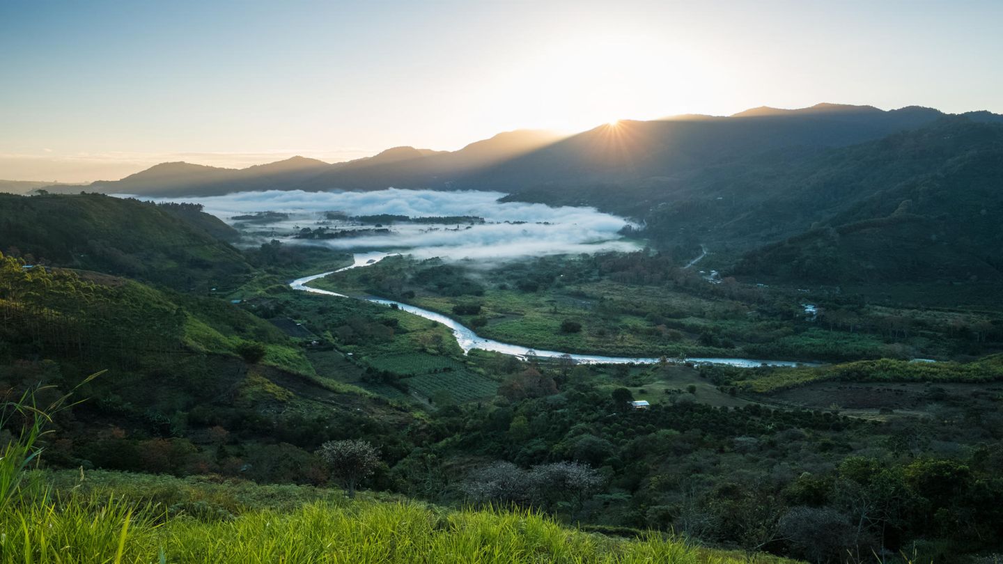 Kaffee-Anbaugebiete: Costa Rica Die weltbesten Kaffees gedeihen in dem kleinen Land zwischen Nord und Südamerika, in dem 3,7 Millionen Einwohner zwischen etwa 400 Millionen Kaffeebäumen leben sollen. Wer seiner Nase ein besonderes Erlebnis gönnen möchte, sollte sie in eine Tüte mit frisch gemahlenem Costa-Rica-Kaffee stecken, kaum ein Kaffee duftet besser. Es werden ausschließlich Arabica-Bohnen angebaut. Sollte auf der Packung SHB stehen, bedeutet das "Strictly Hard Bean". Der Baum, von dem die Bohnen stammen, wuchs mehr als 1500 Metern Höhe. Das Wachstum in diesen Lagen dauert aufgrund der Kälte länger, die Bohnen haben mehr Zeit, die Aromastoffe einzulagern. Wer Spitzenkaffees aus Costa Rica probieren möchte, sollte auf Namen wie Santa Rosa, Montebellow, Vinas und Tournon achten. Den Geschmacksgipfel bildet der Minita Tarrazu. Er wächst ohne Kunstdünger und Pestizide heran und wird von Hand geerntet. Der Preis ist entsprechend hoch. Costa Rica Die weltbesten Kaffees gedeihen in dem kleinen Land zwischen Nord und Südamerika, in dem 3,7 Millionen Einwohner zwischen etwa 400 Millionen Kaffeebäumen leben sollen. Wer seiner Nase ein besonderes Erlebnis gönnen möchte, sollte sie in eine Tüte mit frisch gemahlenem Costa-Rica-Kaffee stecken, kaum ein Kaffee duftet besser. Es werden ausschließlich Arabica-Bohnen angebaut. Sollte auf der Packung SHB stehen, bedeutet das "Strictly Hard Bean". Der Baum, von dem die Bohnen stammen, wuchs mehr als 1500 Metern Höhe. Das Wachstum in diesen Lagen dauert aufgrund der Kälte länger, die Bohnen haben mehr Zeit, die Aromastoffe einzulagern. Wer Spitzenkaffees aus Costa Rica probieren möchte, sollte auf Namen wie Santa Rosa, Montebellow, Vinas und Tournon achten. Den Geschmacksgipfel bildet der Minita Tarrazu. Er wächst ohne Kunstdünger und Pestizide heran und wird von Hand geerntet. Der Preis ist entsprechend hoch.