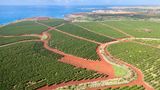 Hawaii  Für die Menschen ist die Insel ein Traum und für Kaffeebäume auch. Kenner sagen, dass Kaffeepflanzen nirgends auf der Welt so gute Wachstumsbedingungen haben wie dort. Die berühmteste Sorte wächst an den Hängen der Vulkane Mauna Loa, Hualalai und Mauna Kea im Kona-Distrikt. Kona-Kaffee schmeckt leiblich, fruchtig und sehr gehaltvoll. Wegen der kleinen Anbaufläche sind reine Konas kaum erhältlich. Viele Mischungen, die unter der Bezeichnung Kona segeln, enthalten tatsächlich nur fünf Prozent oder weniger dieses Gourmetkaffees.