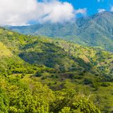 Jamaika  Wenn Kaffeekenner Jamaika aussprechen, sind die darauffolgenden Worte meist Blue Mountain. Der teuerste Kaffee der Welt. Und der beste. Den Namen liefert die dicht bewaldete Gebirgskette, die sich an der gesamten Insel entlang zieht. Dass dort Kaffee von einzigartiger Güte gedeiht, wurde zufällig entdeckt. Sklaven hatten dort für den Eigenbedarf Kaffeebäume gepflanzt. Die häufigen Nebel in den Blue Mountains sorgen für ein besonders langsames Wachstum der Kaffeebohnen. Sie haben sehr viel Zeit, die Aromen und Mineralien des Bodens in sich aufzunehmen. Der Ertrag ist gering, daher liegt der Preis bei rund 70 Euro pro Pfund. Der Kaffee schmeckt leicht süßlich und entfaltet im Mund eine komplexe Fülle, die lang anhält.