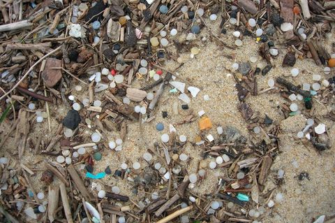 Dieser Strand im Süden Frankreichs ist von den kleinen Plastiklinsen bedeckt.