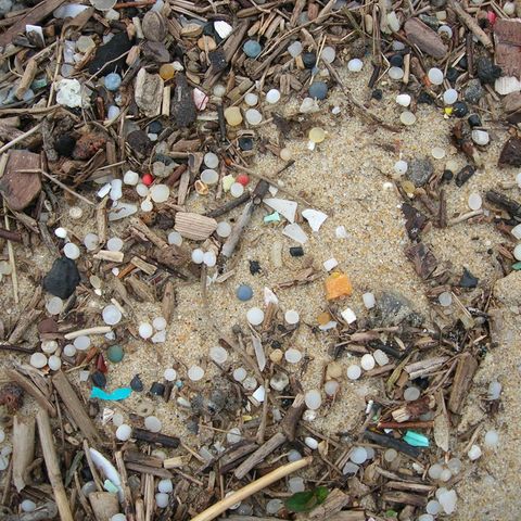 Dieser Strand im Süden Frankreichs ist von den kleinen Plastiklinsen bedeckt.
