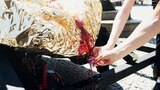 Mit Blut aus der goldenen Vulva wird das Matriarchat begossen. Die Männer dürfen später "Vulvalas" ausmalen.