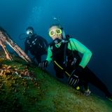 Das Flugzeug ist nun Tummelplatz für Meeresbewohner und Taucher, die den Ausflug bei drei lizenzierten Veranstaltern buchen können.
