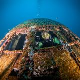 Taucher statt Flugkapitän: Noch einmal ein Blick von außen ins Cockpit.