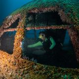 Es wird deutlich: Schon nach zwei Monaten im Wasser wird das Aluminiumgerippe zum künstlichen Riff