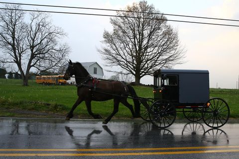 Eine Amish-Kutsche mit Pferd