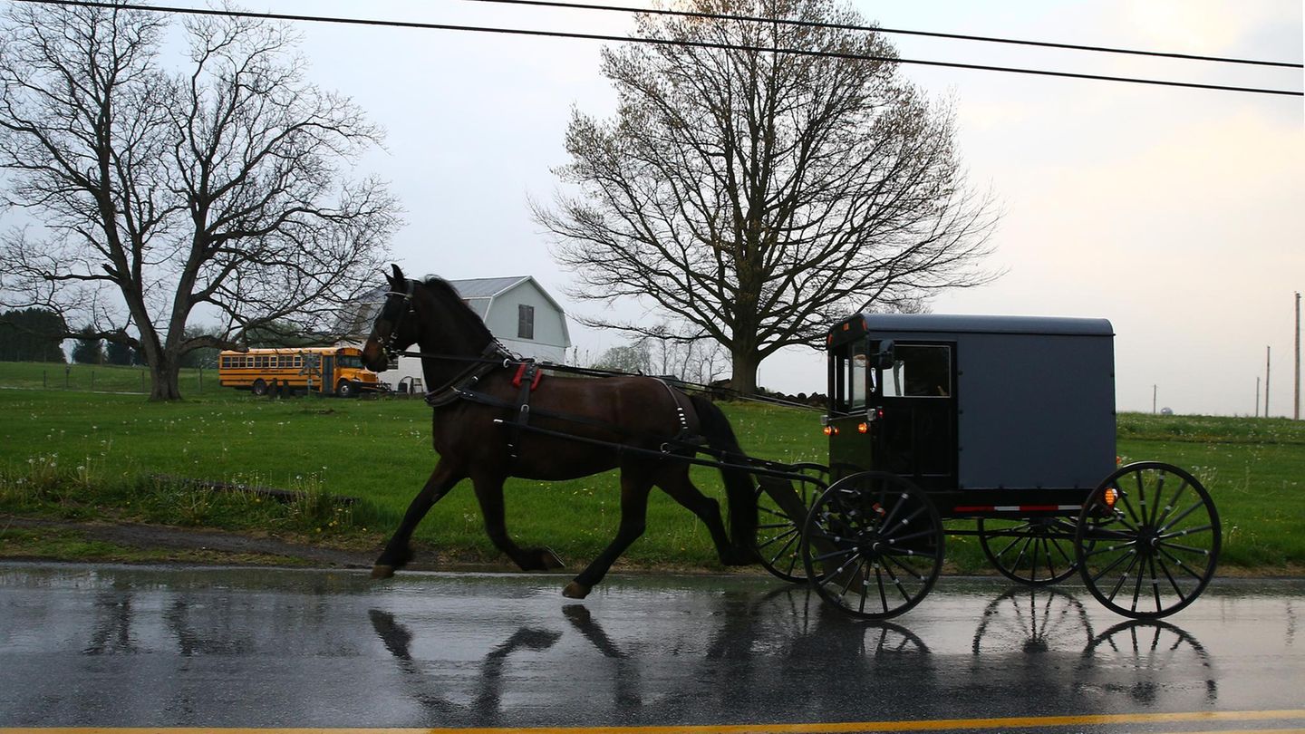 Eine Amish-Kutsche mit Pferd