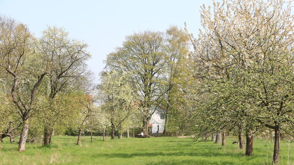 Die Streuobstwiese auf dem Gut Karlshöhe Die Streuobstwiese auf dem Gut Karlshöhe