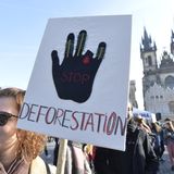 Tschechien, Prag: Eine Teilnehmerin einer Demonstration hält ein Protestschild