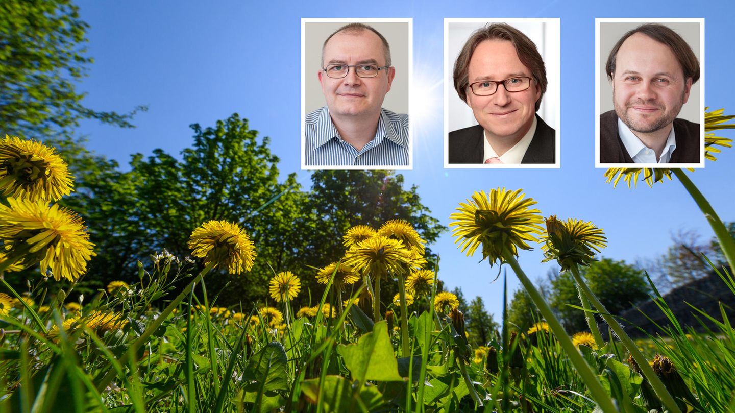 Steffen Bender, Peer Seipold und Markus Groth, wissenschaftliche Mitarbeiter von Gerics, formulierten zusammen mit dem stern Tipps, wie man sich dem Klimawandel anpassen kann. 