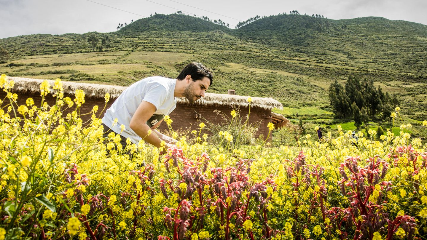 Küchenchef Virgilio Martinez sammelt für seine Restaurants Central und Mil (beide in Peru) einheimische Zutaten