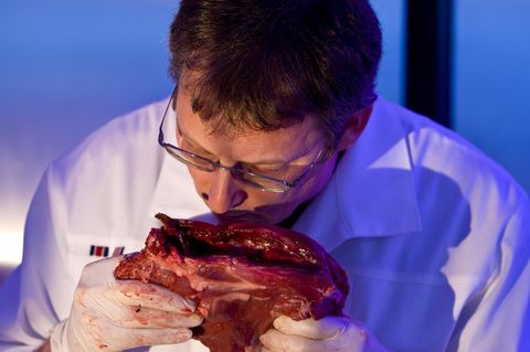 Veterinär untersucht mögliches Gammelfleisch