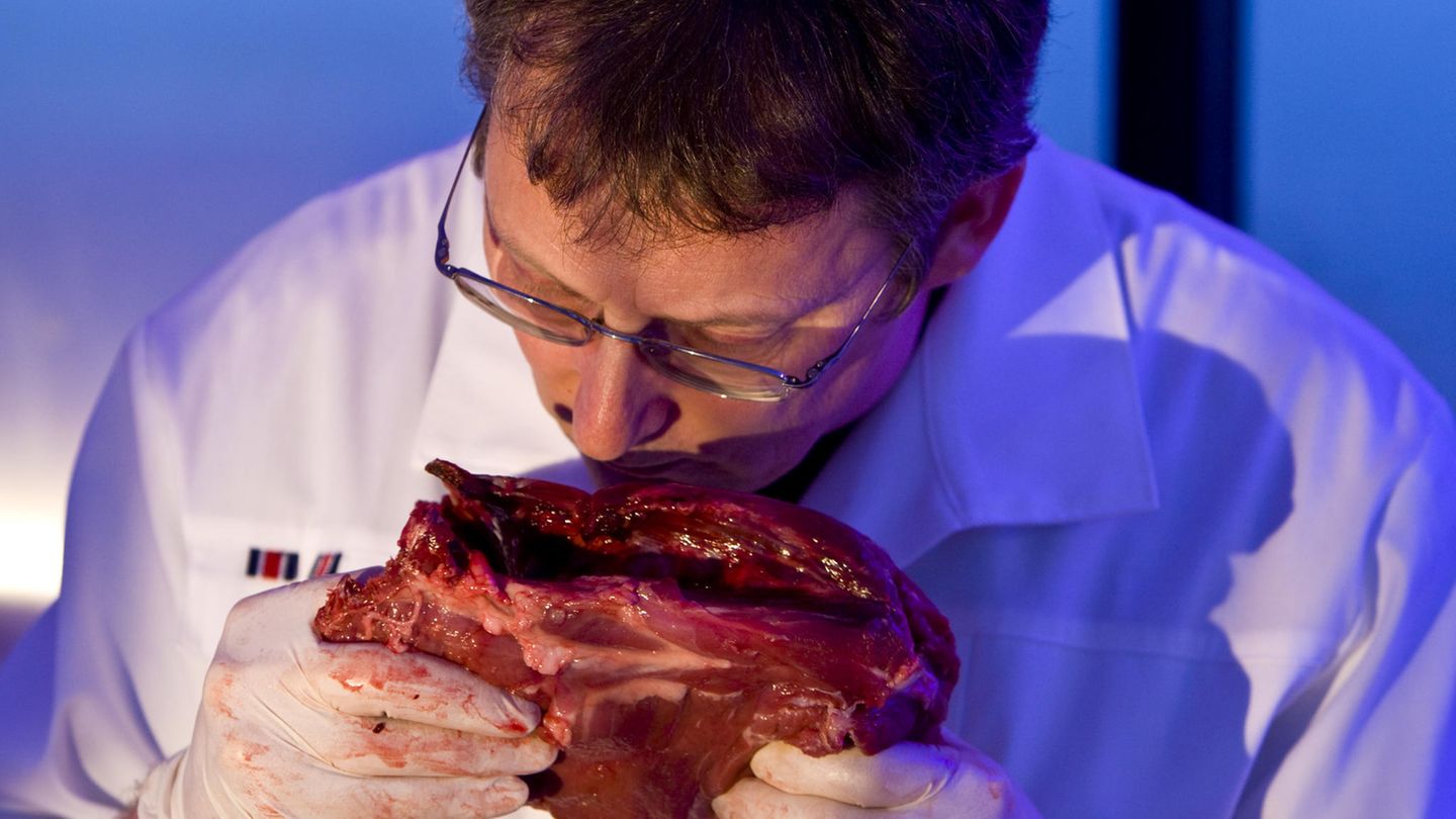 Veterinär untersucht mögliches Gammelfleisch