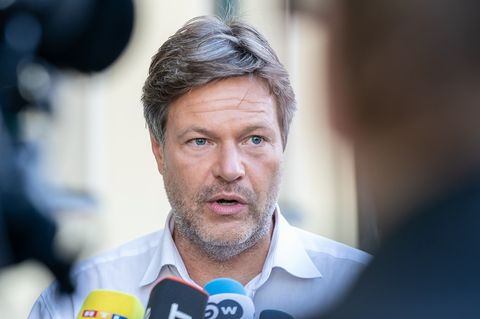 Robert Habeck, Co-Parteichef der Grünen