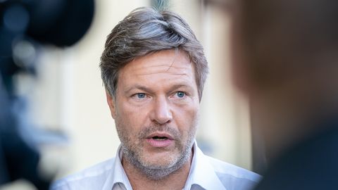 Robert Habeck, Co-Parteichef der Grünen