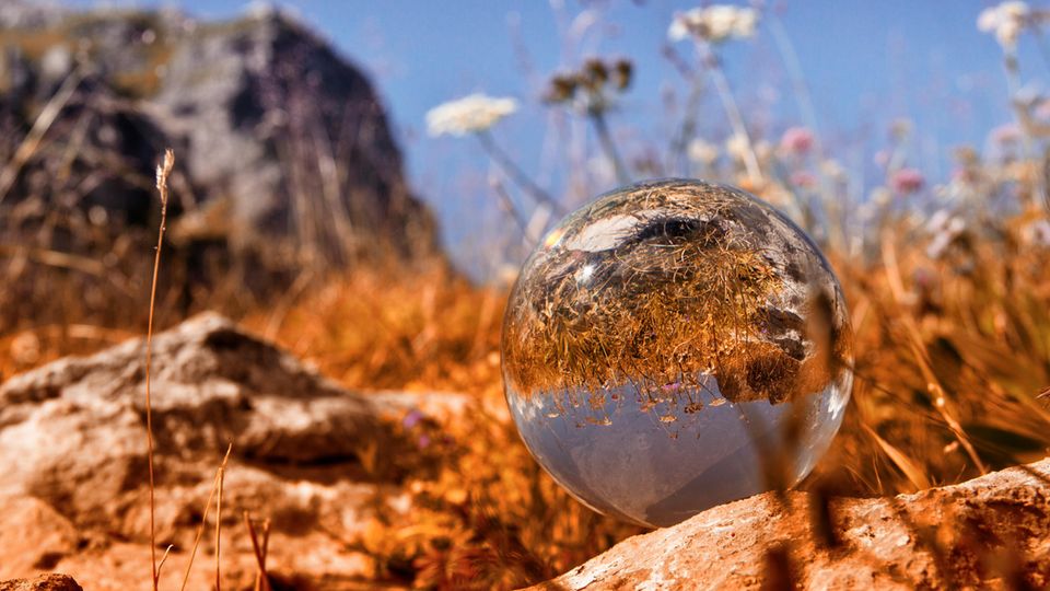 Alles steht Kopf. Genauso soll es bei der Glaskugel-Fotografie sein