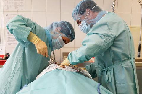 Organspende: Ärzte entnehmen ein Organ