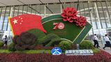 Beijing New International Airport