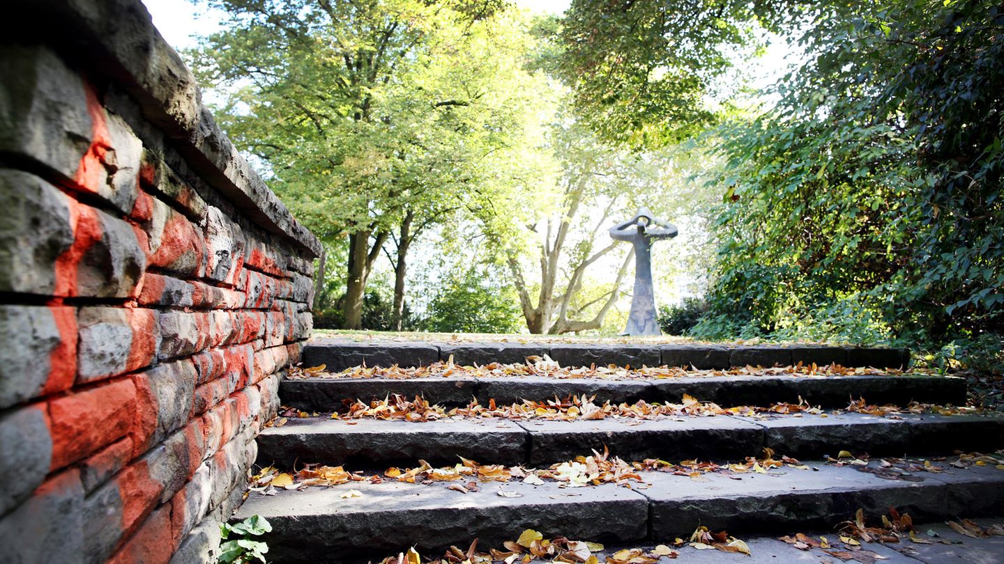 Eine Anhöhe im Düsseldorfer Hofgarten. Hier soll die 51-jährige Frau vergewaltigt worden sein.