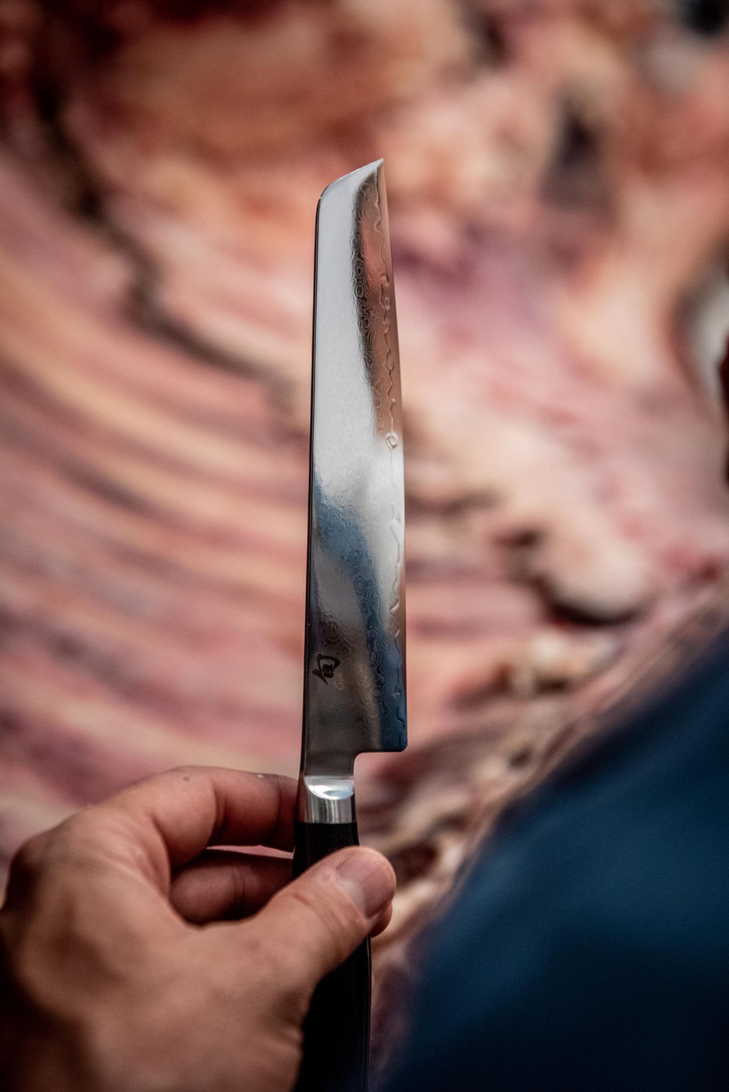 Ausgestattet mit sehr guten Profi-Messern von kai Europe machen sich die Gäste beim BEEF-Workshop unter Leitung von Jan Spielhagen (G+J) ans Zerlegen des Wagyu-Rinds.