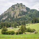 Nach einer exklusiven Schlossführung geht es in die Allgäuer Natur.