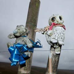 Kuscheltiere an Holzpfählen