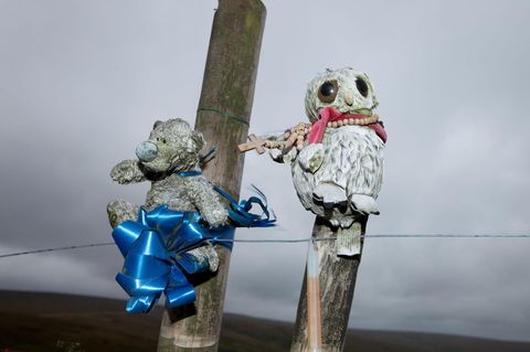 Kuscheltiere an Holzpfählen