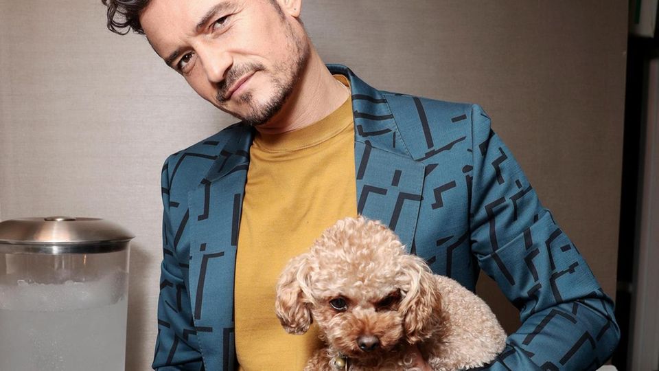 Mandatory Credit: Photo by Todd Williamson/JanuaryImages/REX (10348610h)Orlando BloomAmazon Prime 'Carnival Row' TV Show photocall, TCA Summer Press Tour, Los Angeles, USA - 27 Jul 2019 Orlando Bloom mit Hund