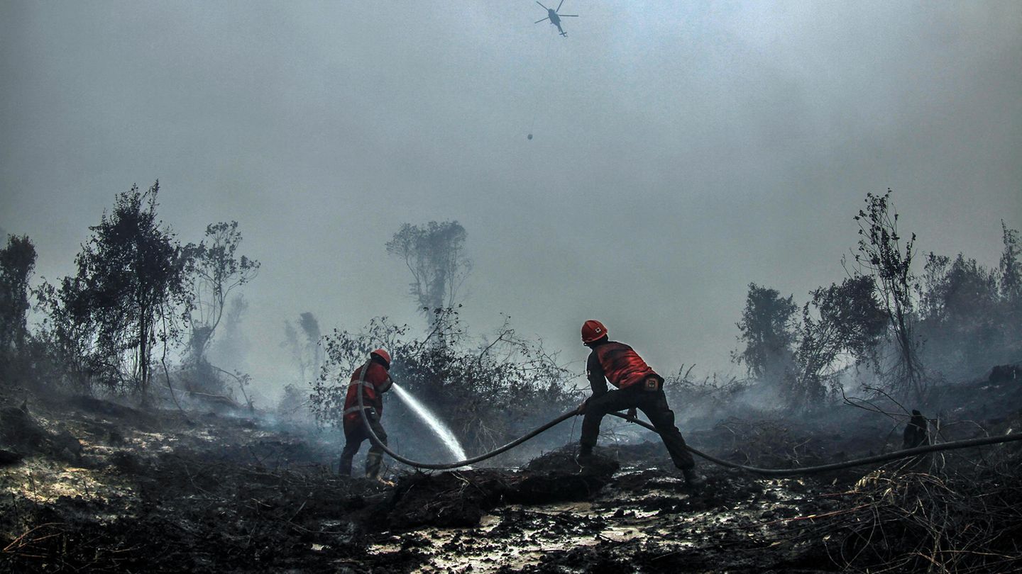 In Kampar Indonesien versuchen Feuerwehrleute, einen Waldbrand zu löschen