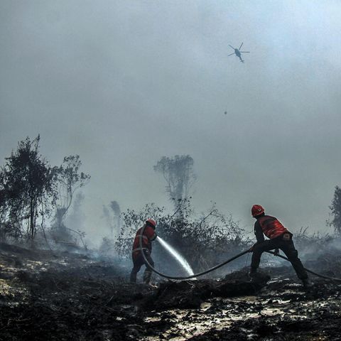 In Kampar Indonesien versuchen Feuerwehrleute, einen Waldbrand zu löschen