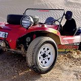 Buggy 1968 von Tom McAlveley