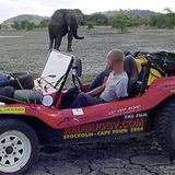 Buggy 1968 von Tom McAlveley