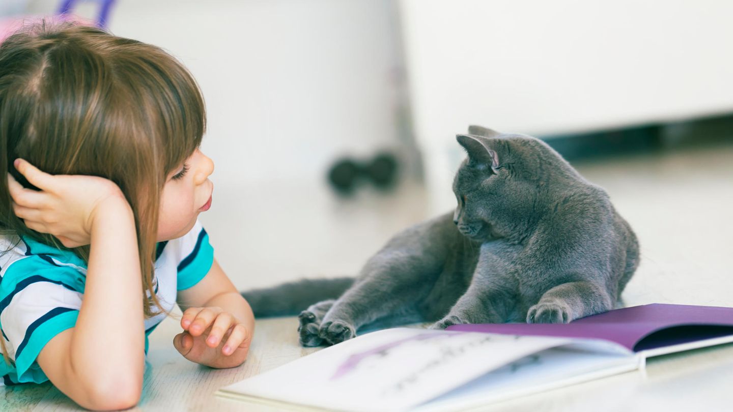 Ein Mädchen liest einer grauen Katze aus einem Buch vor