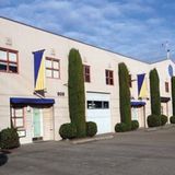 Pflanzen in Penisform