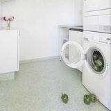 Grüne Paprika in einer Waschmaschine