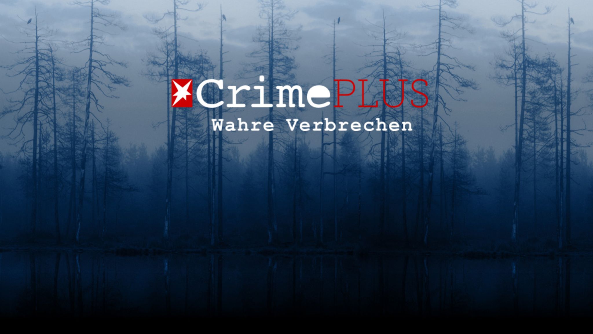 Willkommen bei STERN CRIME PLUS: Nutzungshinweise / Tipps für die Nutzung