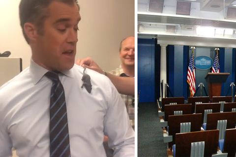 Eine Maus hält die Journalisten im Weißen Haus in Atem.