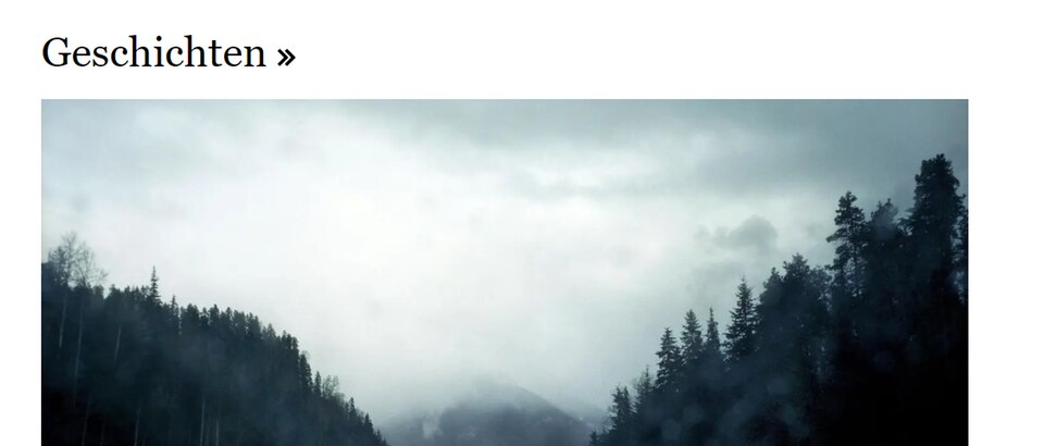 Willkommen bei STERN CRIME PLUS: Nutzungshinweise / Tipps für die Nutzung