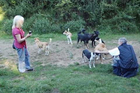 Birgit K. mit ihren Hunden, die beschlagnahmt und von der Staatsanwaltschaft verkauft wurden