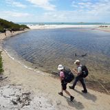 Die Route beginnt in Stumpys Bay (Foto) im Mount William National Park im Nordosten Tasmaniens.