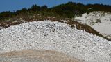 Im letzten Viertel begannen die Ureinwohner mit dem Aufschichten von Muschelbergen. Wir stehen vor einer Stelle, an der sich über 8000 Jahre lang die Aborigines am Meer trafen. "Doppelt so alt wie die Pyramiden", kommentiert einer der Wanderer. Im respektvollen Abstand passiert die Gruppe das leicht zu übersehende Kulturdenkmal.
