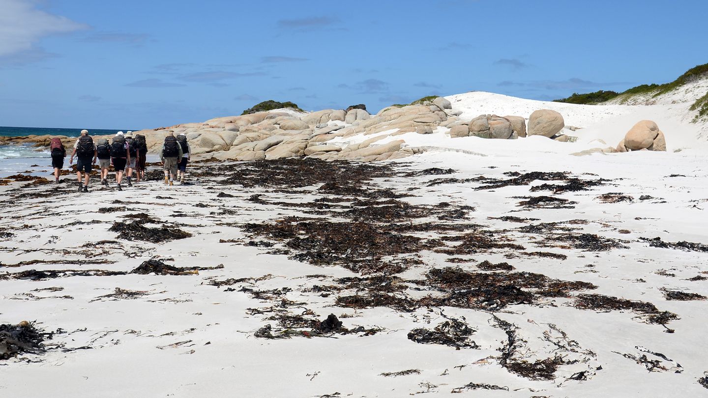Bay of Fires Walk: Wandern um einen weißen Muschelberg: Claire malt einen ungefähr vier Meter langen Stich in den Sand und markiert den Anfang einer symbolischen Timeline: Vor 40.000 Jahren kamen die Aborigines über eine noch bestehende Landbrücke nach Tasmanien. Nach zwei Drittel der Linie, vor 12.000 Jahren, stieg der Meeresspiegel und Tasmanien wurde zur isolierten Insel. Wandern um einen weißen Muschelberg: Claire malt einen ungefähr vier Meter langen Stich in den Sand und markiert den Anfang einer symbolischen Timeline: Vor 40.000 Jahren kamen die Aborigines über eine noch bestehende Landbrücke nach Tasmanien. Nach zwei Drittel der Linie, vor 12.000 Jahren, stieg der Meeresspiegel und Tasmanien wurde zur isolierten Insel.
