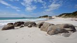 Laufen im feuchten Sand in der Bay of Fires in Tasmanien: Hier sieht die Küste noch immer so unberührt aus wie im Jahre 1642, als der niederländische Seefahrer Abel Tasman den Landstrich für die Europäer entdeckte.