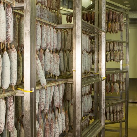 Nach Todesfällen: "Abartige Zustände" bei Wilke Wurst: Ex-Mitarbeiter berichten von Schimmel und Mäusekot