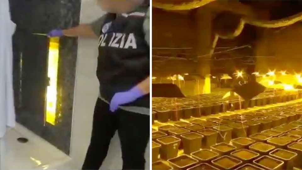 Kreatives Versteck: Geheimtür in der Duschkabine – Italienische Polizei nimmt gewaltige Drogenplantage hoch Kreatives Versteck: Geheimtür in der Duschkabine – Italienische Polizei nimmt gewaltige Drogenplantage hoch