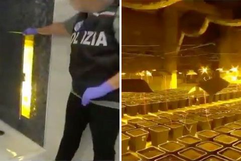 Kreatives Versteck: Geheimtür in der Duschkabine – Italienische Polizei nimmt gewaltige Drogenplantage hoch