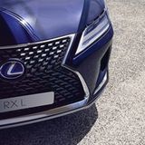 Markenzeichen: Der üppige Kühlergrill des Lexus RX 450h