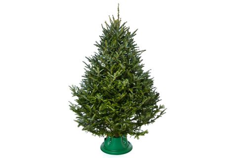 Christbaumständer im Vergleich
