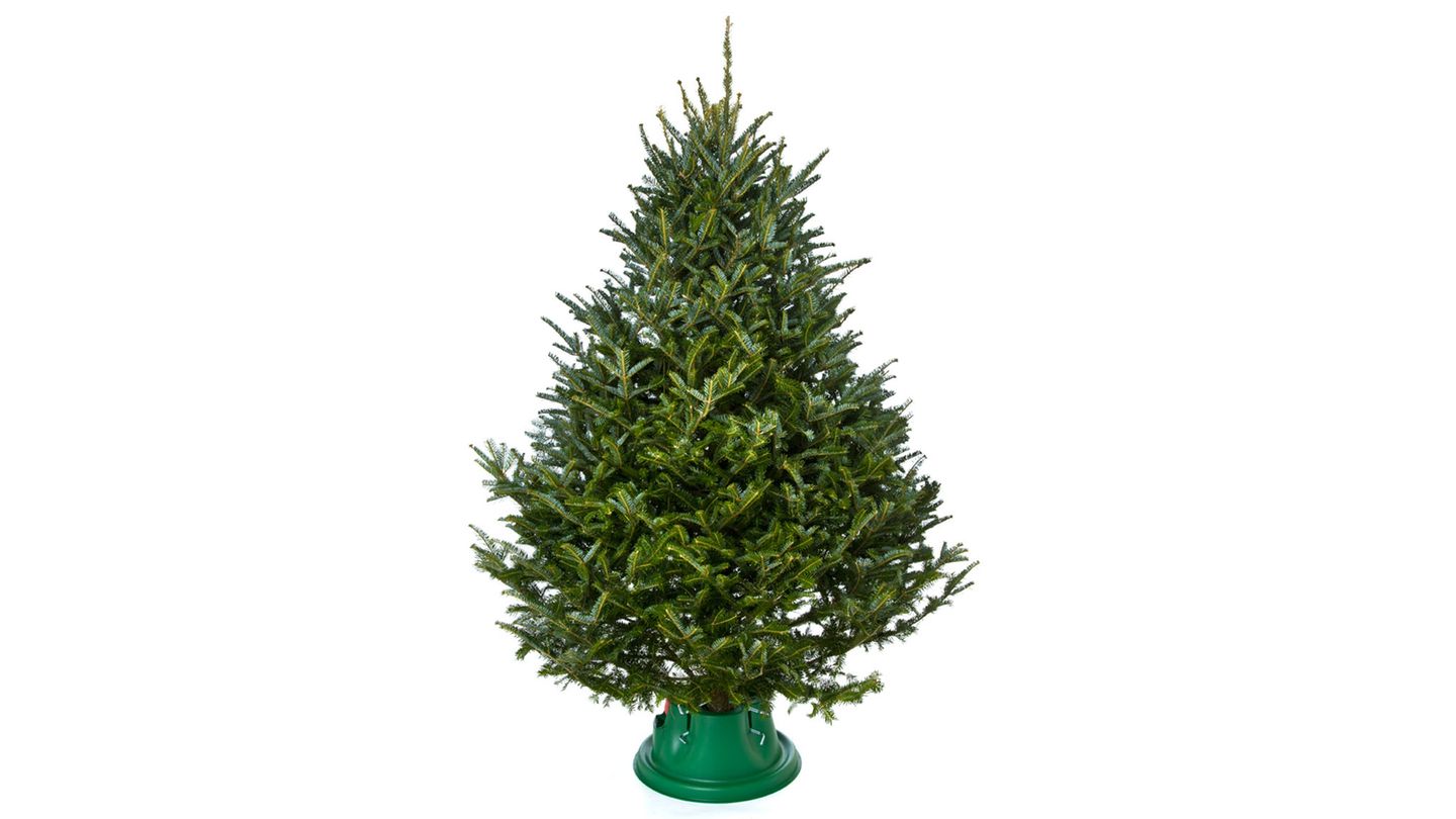 Christbaumständer im Vergleich